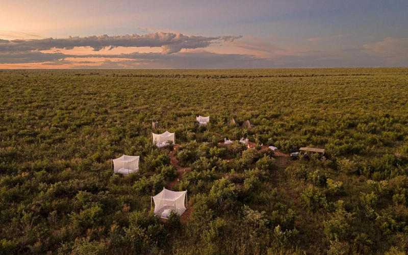 10 Day Chobe, Delta & Kalahari Safari Feline Lodges